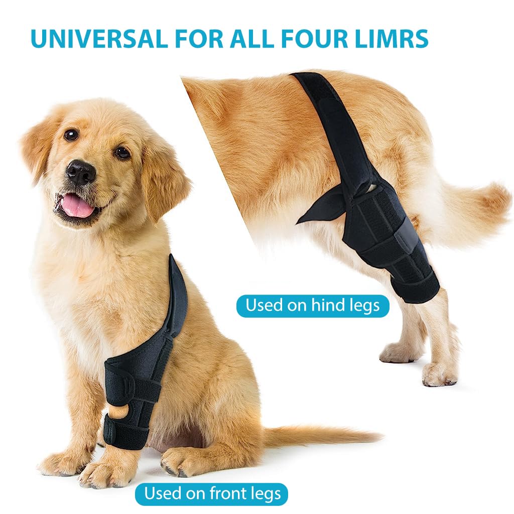 Qpets Dog Leg Brace, Leg Braces for Injured Dog Dog Leg Brace Support for Rehabilition, Adjustable Knee Support for Dog, Pet Knees Protector, Dog Hind Legs Brace for Large Dogs (Size: L) Qpets Dog Leg Brace, Leg Braces for Injured Dog Dog Leg Brace Support for Rehabilition, Adjustable Knee Support for Dog, Pet Knees Protector, Dog Hind Legs Brace for Large Dogs (Size: L)